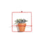 Square Wall Planter
