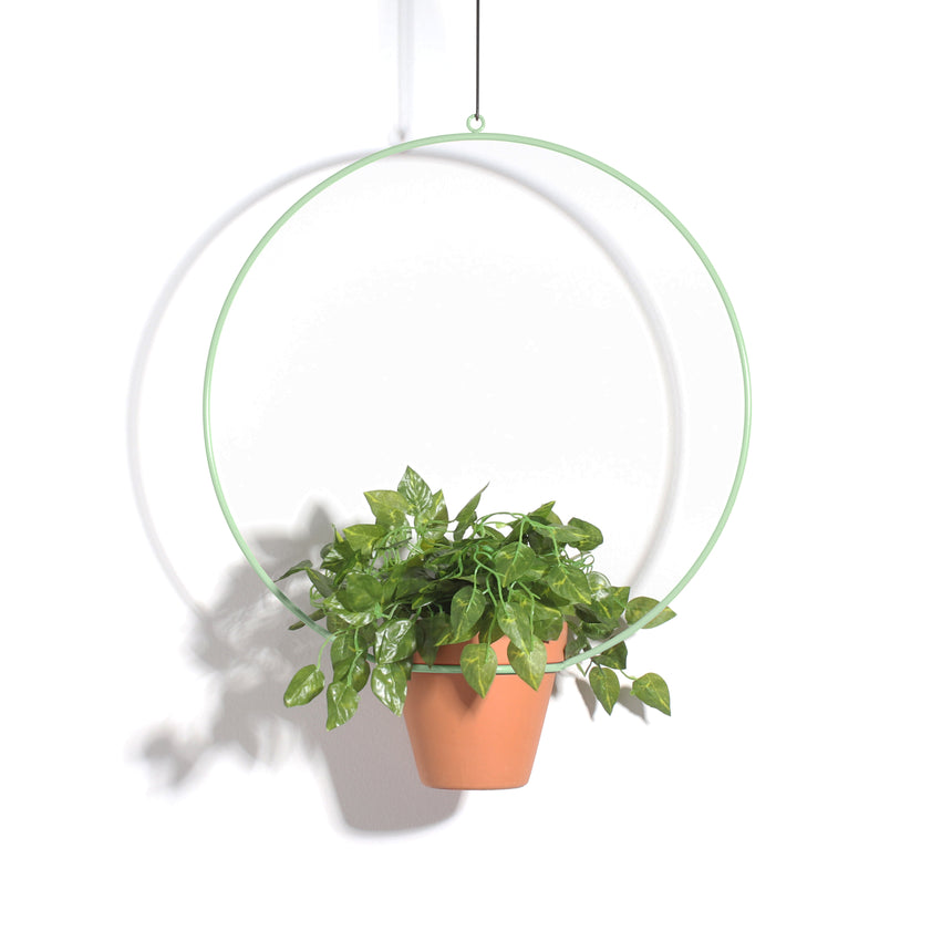 10" Hanging Circle Planter