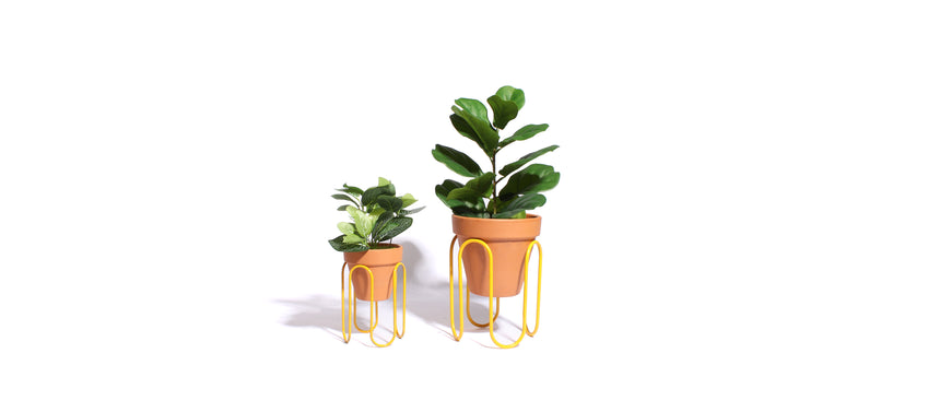 SQUIGGLE PLANTERS