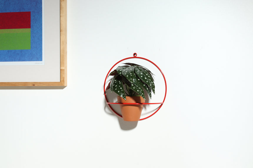 Circle Wall Planter
