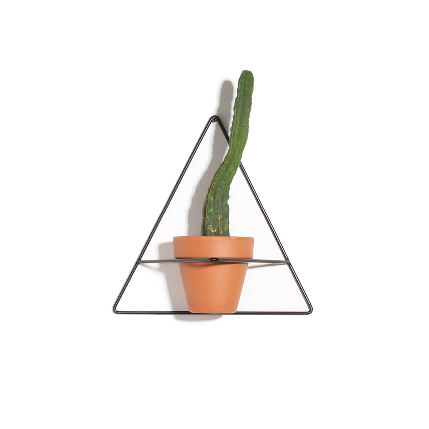 Triangle Wall Planter