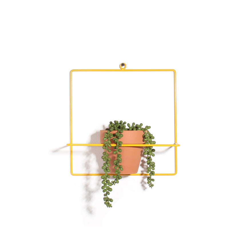 Square Wall Planter