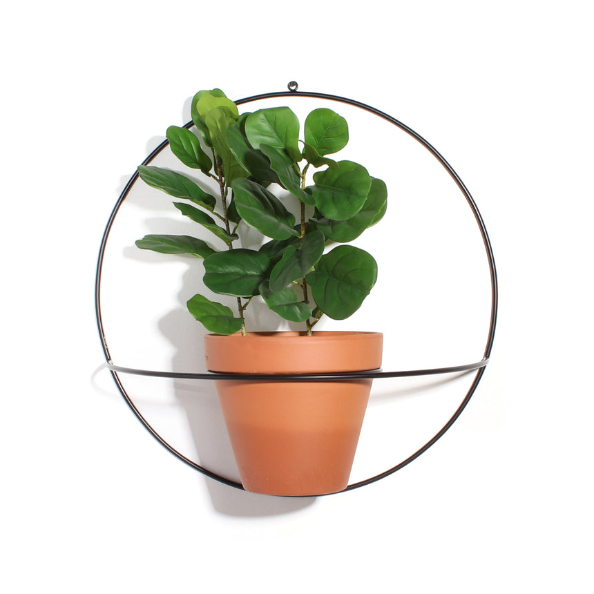 round indoor wall planter XL Circle Wall Planter – NewMade LA