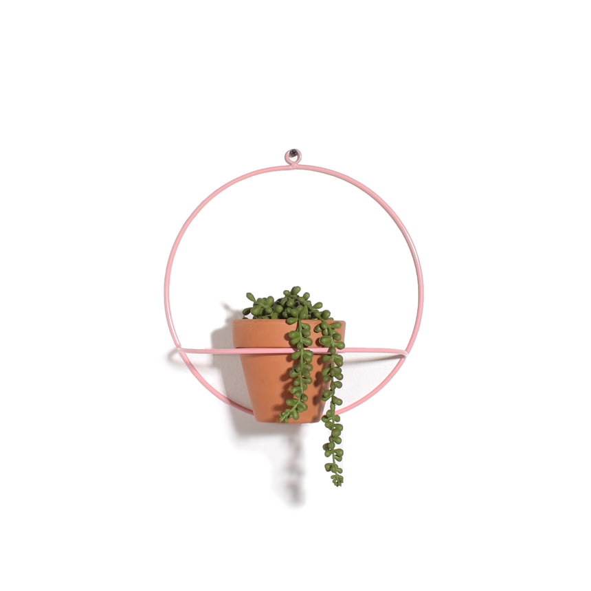 Circle Wall Planter