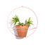 XL Circle Wall Planter