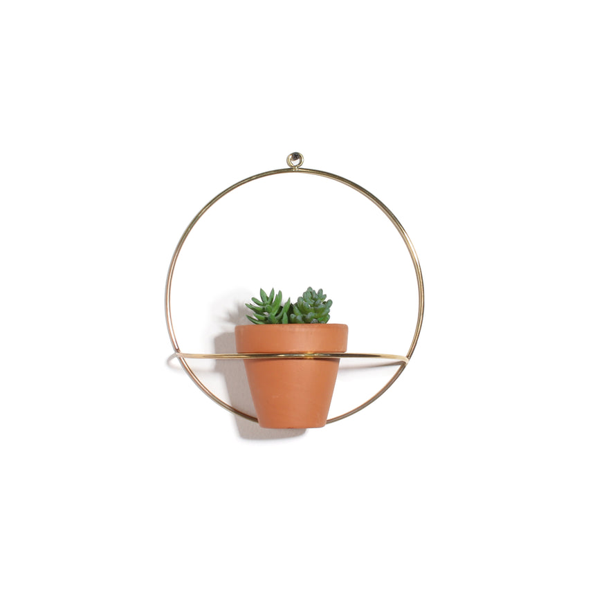 Circle Wall Planter