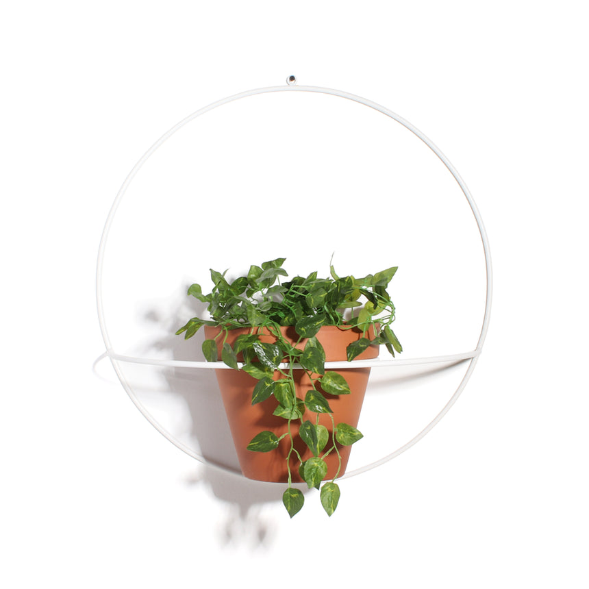 XL Circle Wall Planter