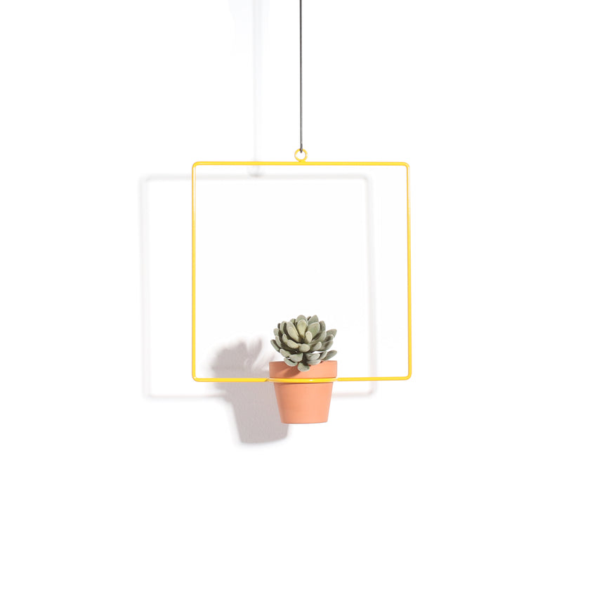 3 inch hanging planter Square Hanging Planter -3 inch – NewMade LA