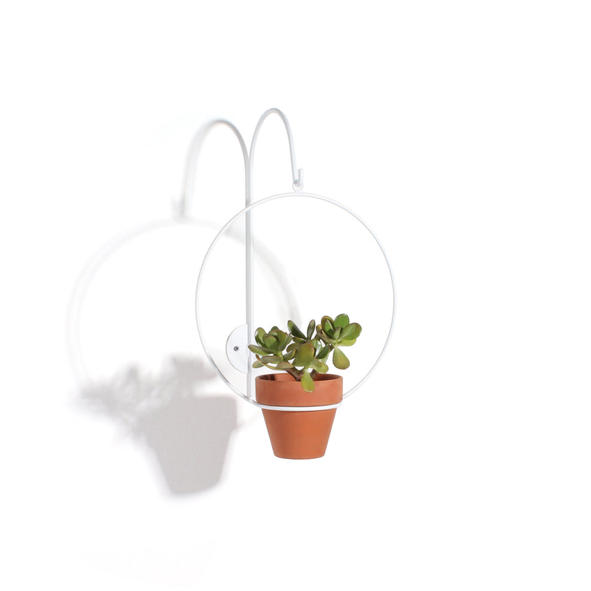 hook for hanging planter Single Wall Planter Hook – NewMade LA